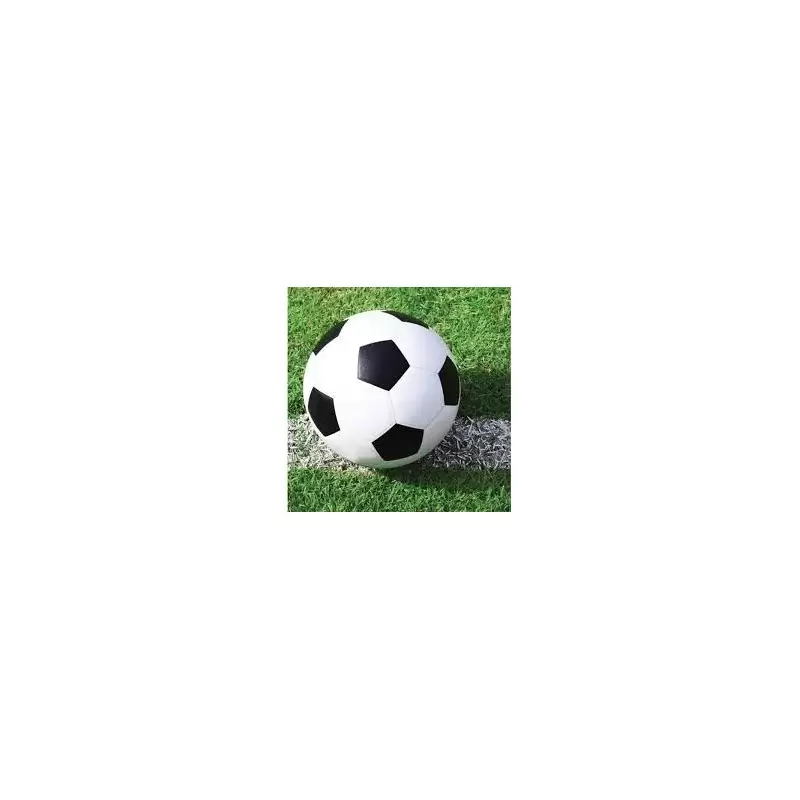 TOVAGLIOLI CALCIO 26 PZ