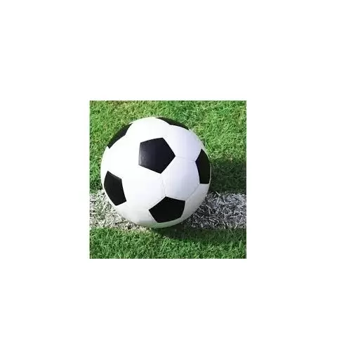 TOVAGLIOLI CALCIO 26 PZ