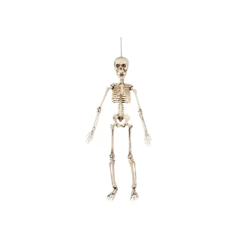 scheletro halloween