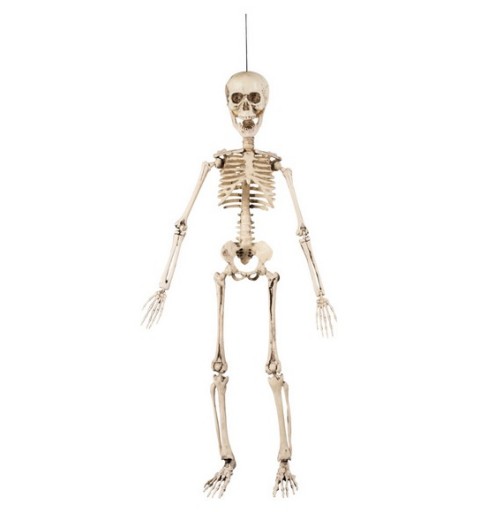 scheletro halloween