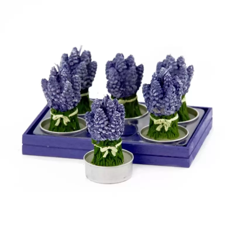 CANDELA PRIMULA 2065  6 PZ.