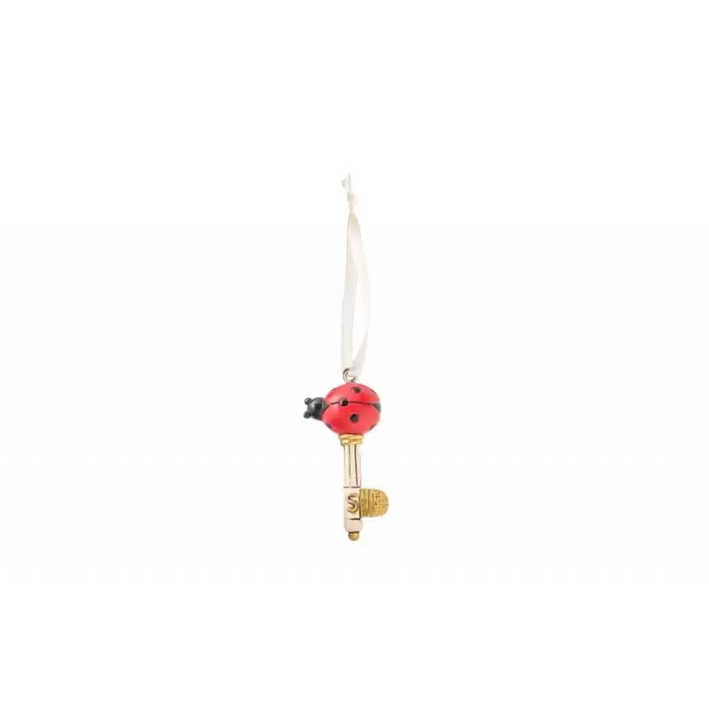 DECORAZIONI CHIAVI CON COCCINELLA ROSSA 12 pz.