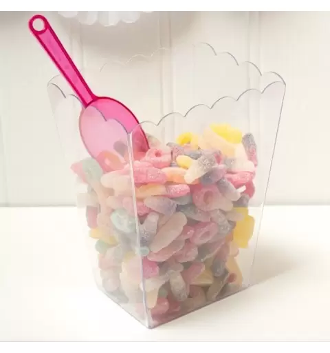 CONTENITORE PLASTICA CARAMELLE + 1 KG CIUCCI ZUCCHERATI + PALETTA ROSA INTENSO