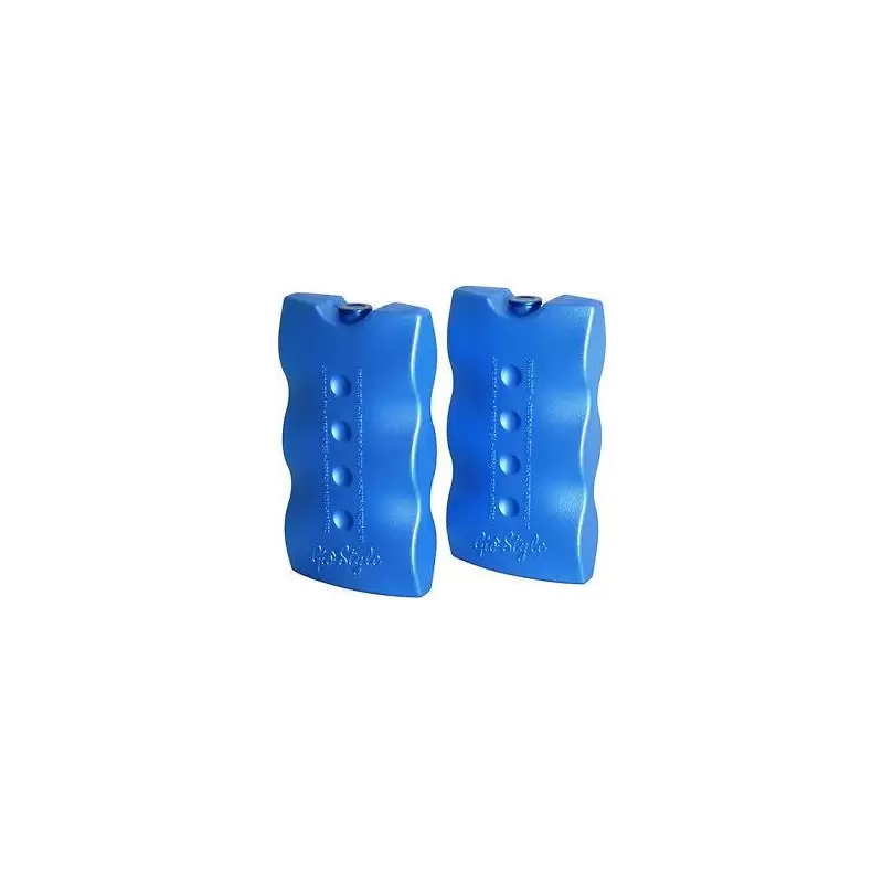SET BORSE TERMICHE FIESTA GIOSTYLE + 2 MATTONELLE GHIACCIO + PALLINA GONFIABILE