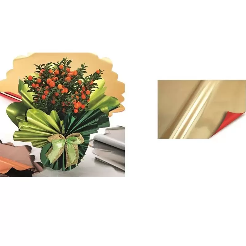 SOTTOVASI BICOLOR PER PIANTE