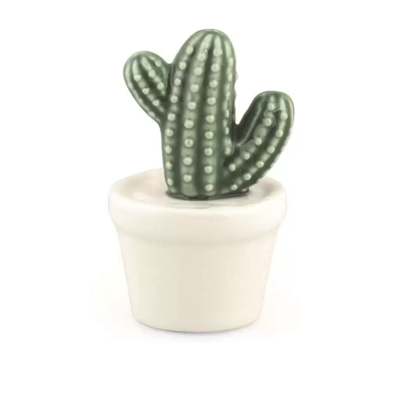 CACTUS IN CERAMICA - PIANTINA GRASSA CON VASETTO