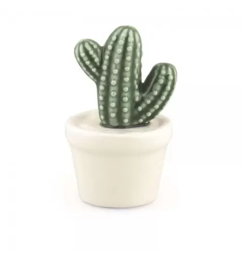 CACTUS IN CERAMICA - PIANTINA GRASSA CON VASETTO