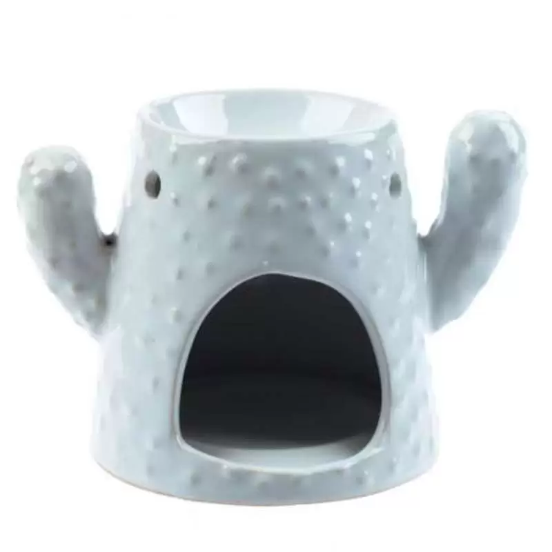 DIFFUSORE IN CERAMICA - CACTUS