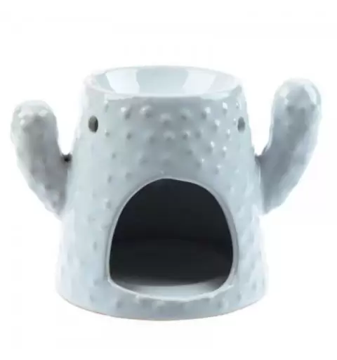 DIFFUSORE IN CERAMICA - CACTUS