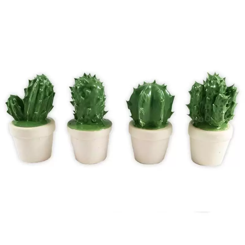 PIANTINE GRASSE IN CERAMICA - BIANCHE O VERDI