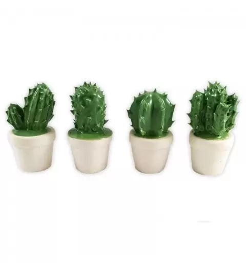 PIANTINE GRASSE IN CERAMICA - BIANCHE O VERDI