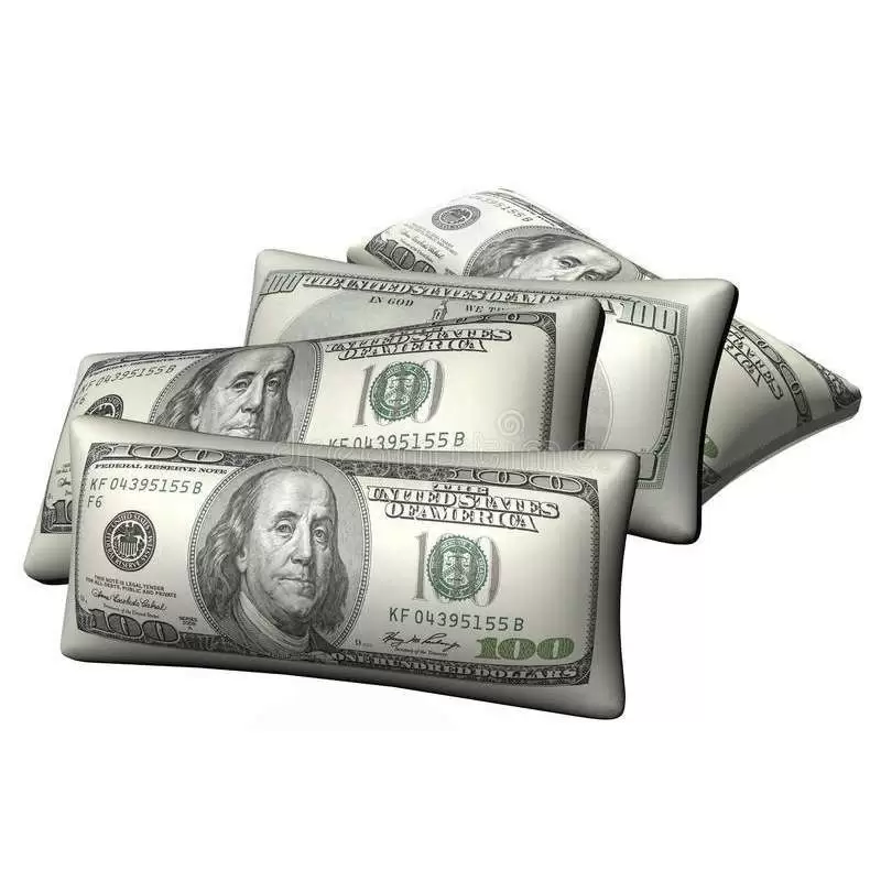 CUSCINO A FORMA DI DOLLARO AMERICANO - BANCONOTA