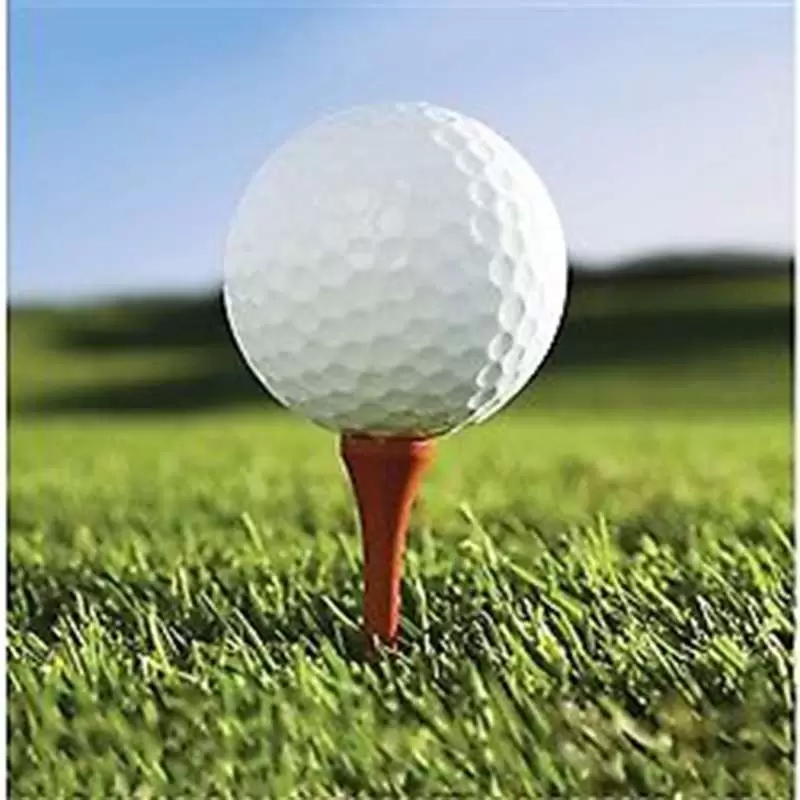 TOVAGLIOLI GOLF - 18 PZ