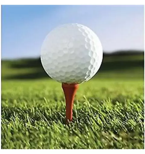 TOVAGLIOLI GOLF - 18 PZ