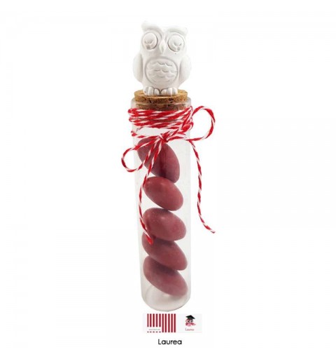 PROVETTE CON GUFETTI DI GESSO – BOMBONIERE LAUREA