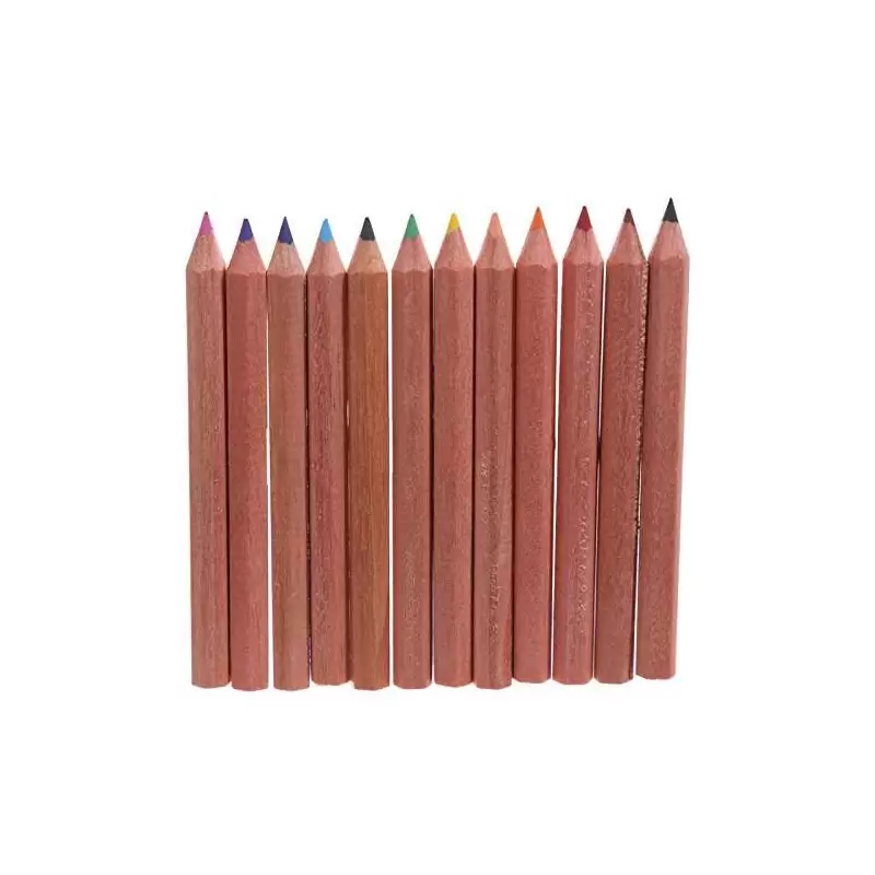 TUBO ANIMALI DELLO ZOO CON MATITE COLORATE - 1 PZ