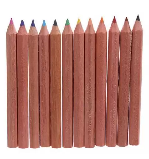 TUBO ANIMALI DELLO ZOO CON MATITE COLORATE - 1 PZ
