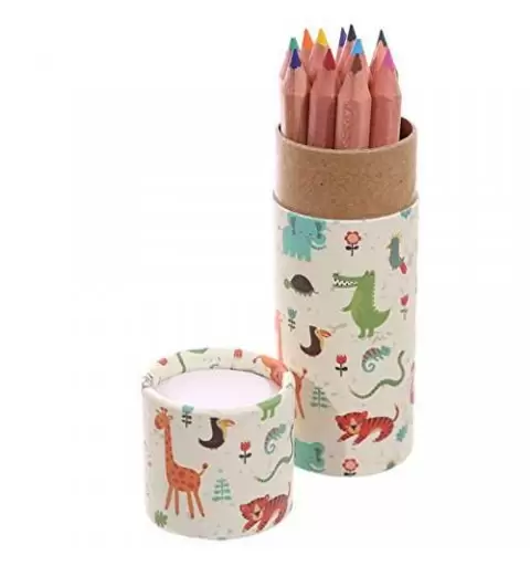 TUBO ANIMALI DELLO ZOO CON MATITE COLORATE - 1 PZ