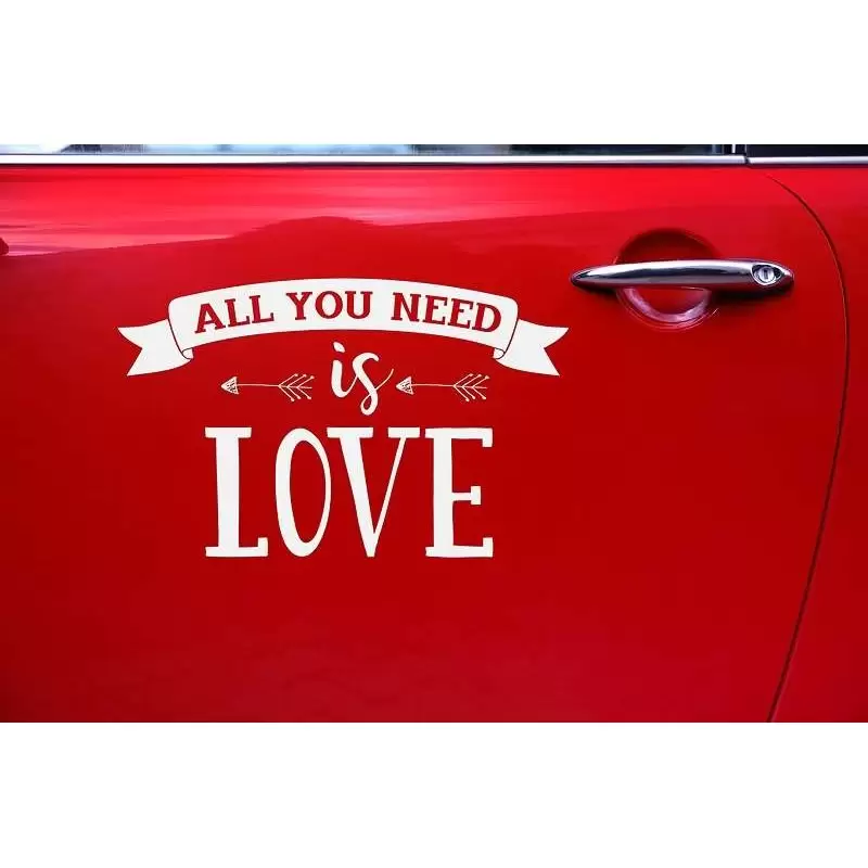 Adesivo all you need is love per auto - decorazione per la macchina degli sposi