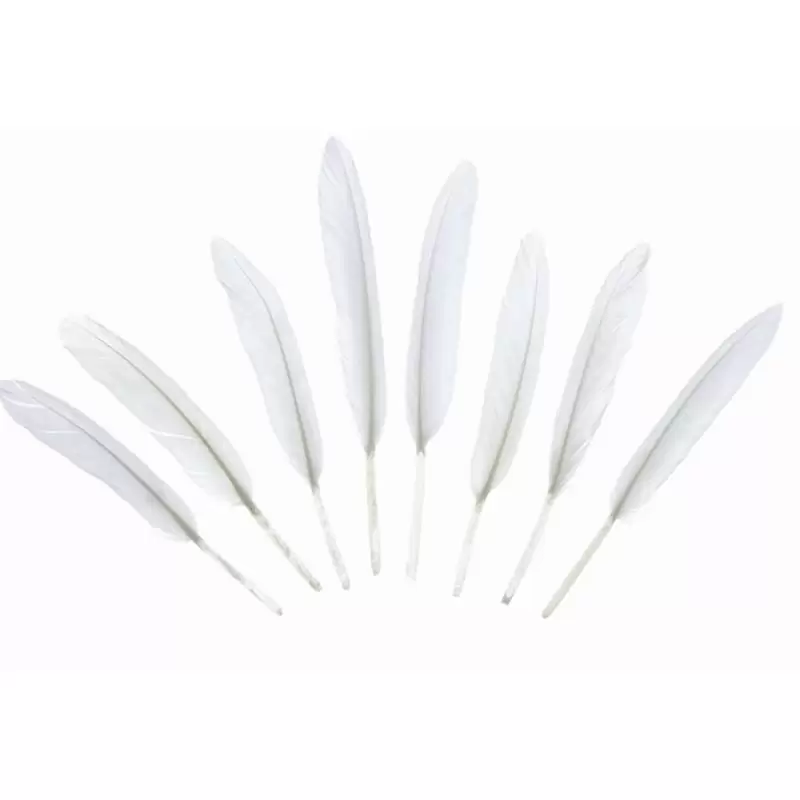 Piume decorative bianche - 24 pz