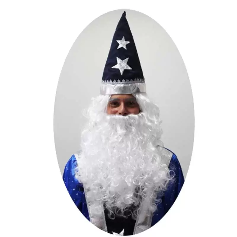 Parrucca e barba Mago Merlino per adulti