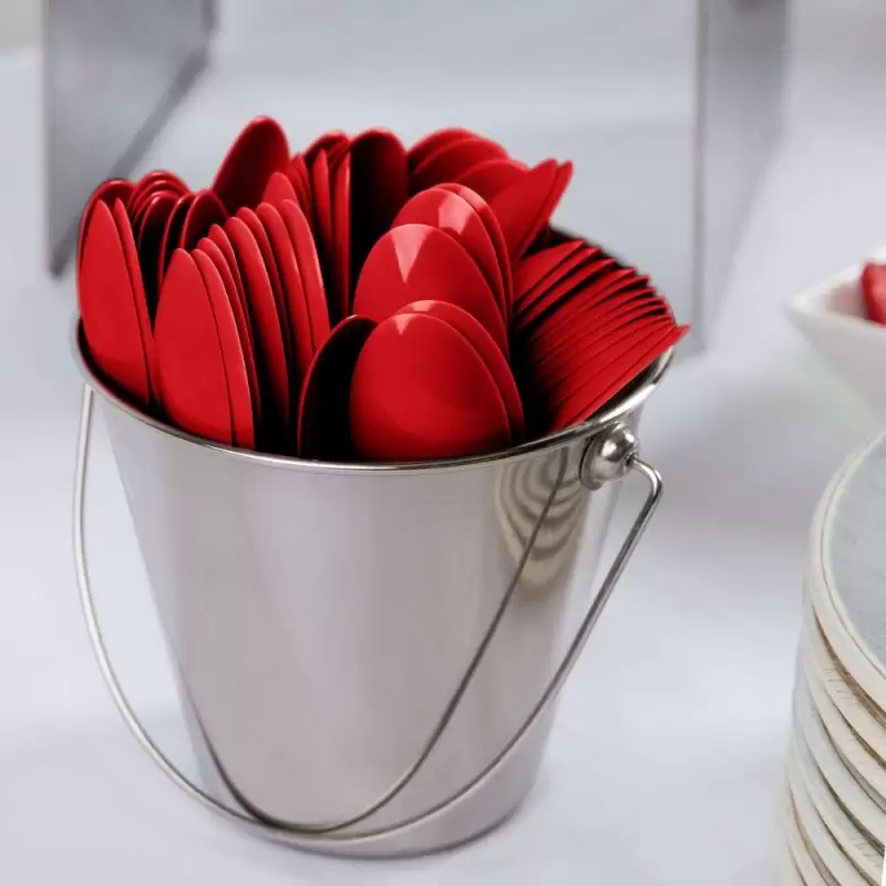 CUCCHIAI ROSSI - CLASSIC RED 24 PZ