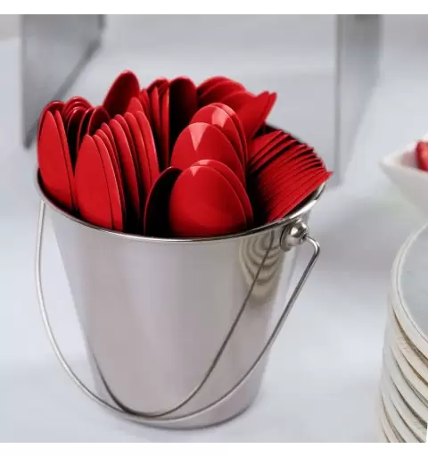 CUCCHIAI ROSSI - CLASSIC RED 24 PZ