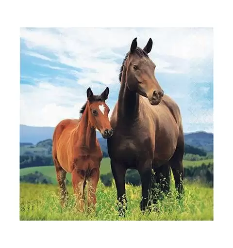 TOVAGLIOLI CAVALLI VERDE - 16 PZ