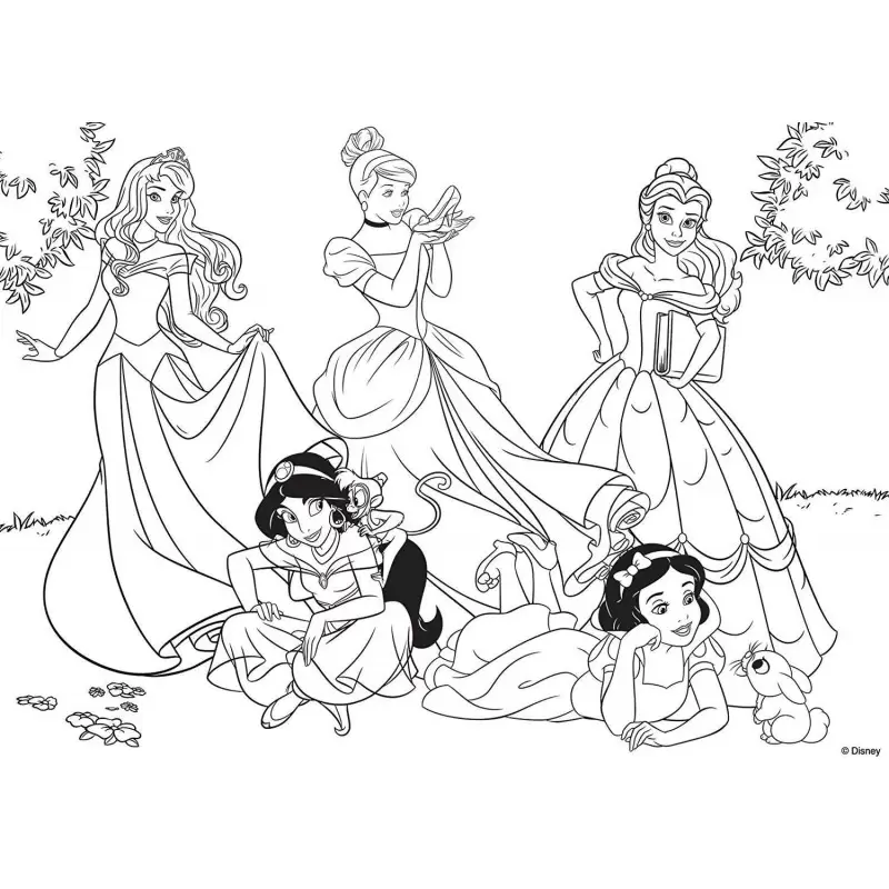Maxi puzzle principesse Disney