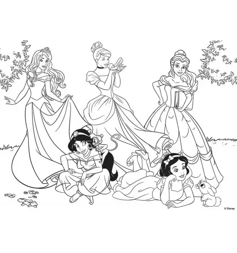 Maxi puzzle principesse Disney