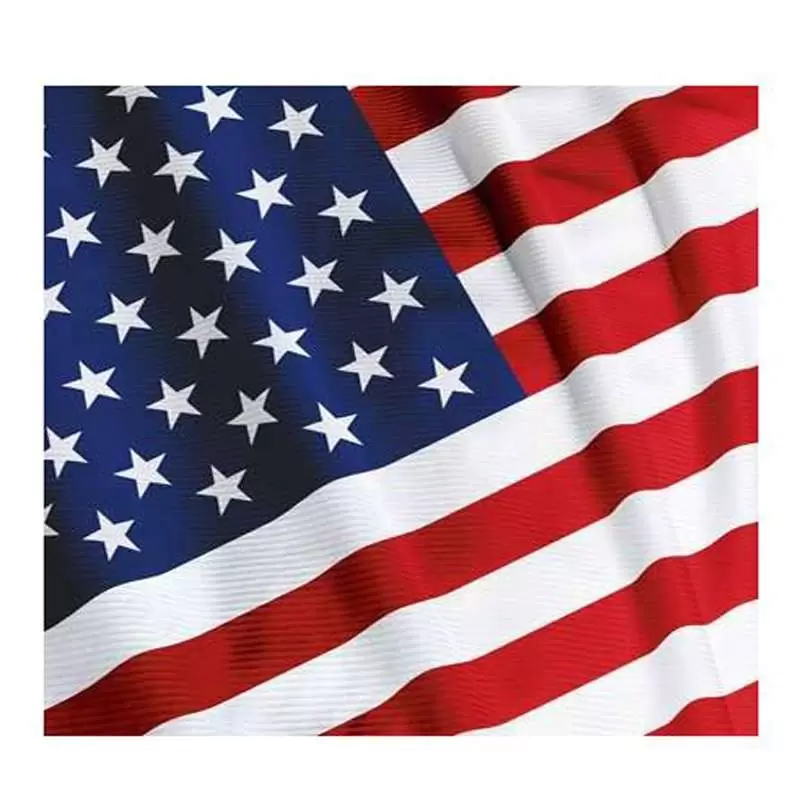 TOVAGLIOLI BANDIERA USA