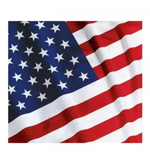 TOVAGLIOLI BANDIERA USA