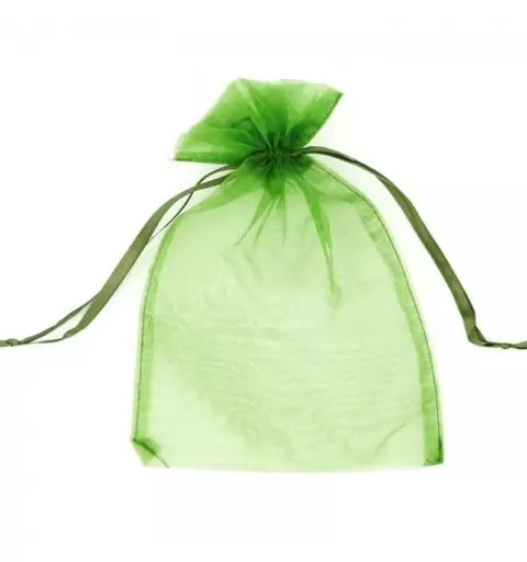 Sacchetto verde organza