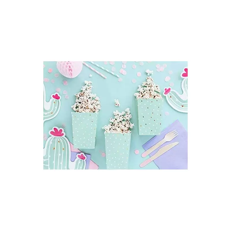 Scatole box pop corn tema cactus