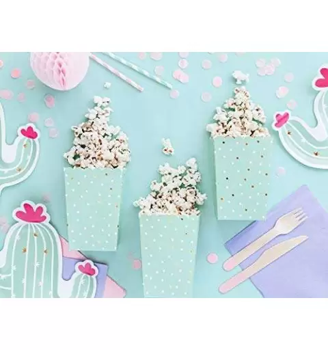 Scatole box pop corn tema cactus