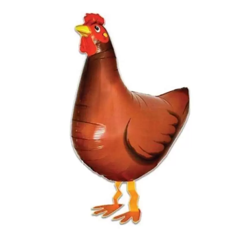 Gallina pet walker camminante