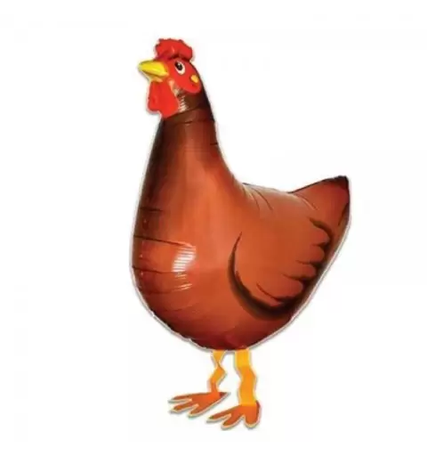 Gallina pet walker camminante