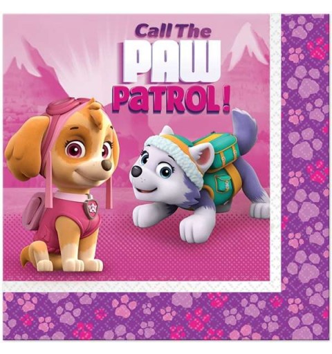 Paw patrol girl per 16 bambini compleanno