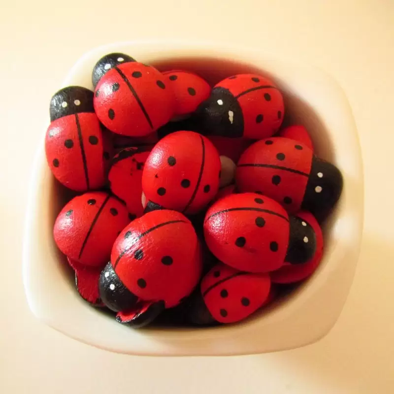 120 COCCINELLE ADESIVE LEGNO 