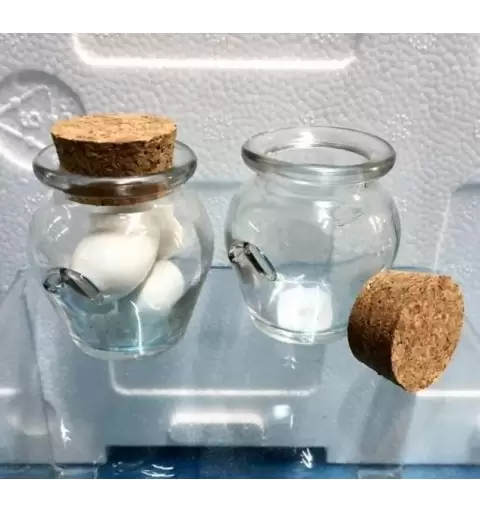 MINI ANFORA VETRO TAPPO SUGHERI PORTA CONFETTI