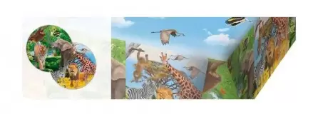 Zoo Safari