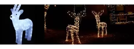 Renne luminose