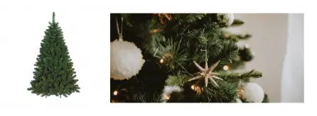 Alberi di Natale