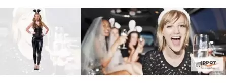 Sexy Party