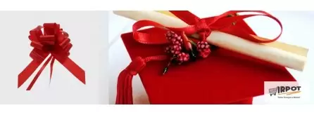 Accessori / Decorazioni Laurea