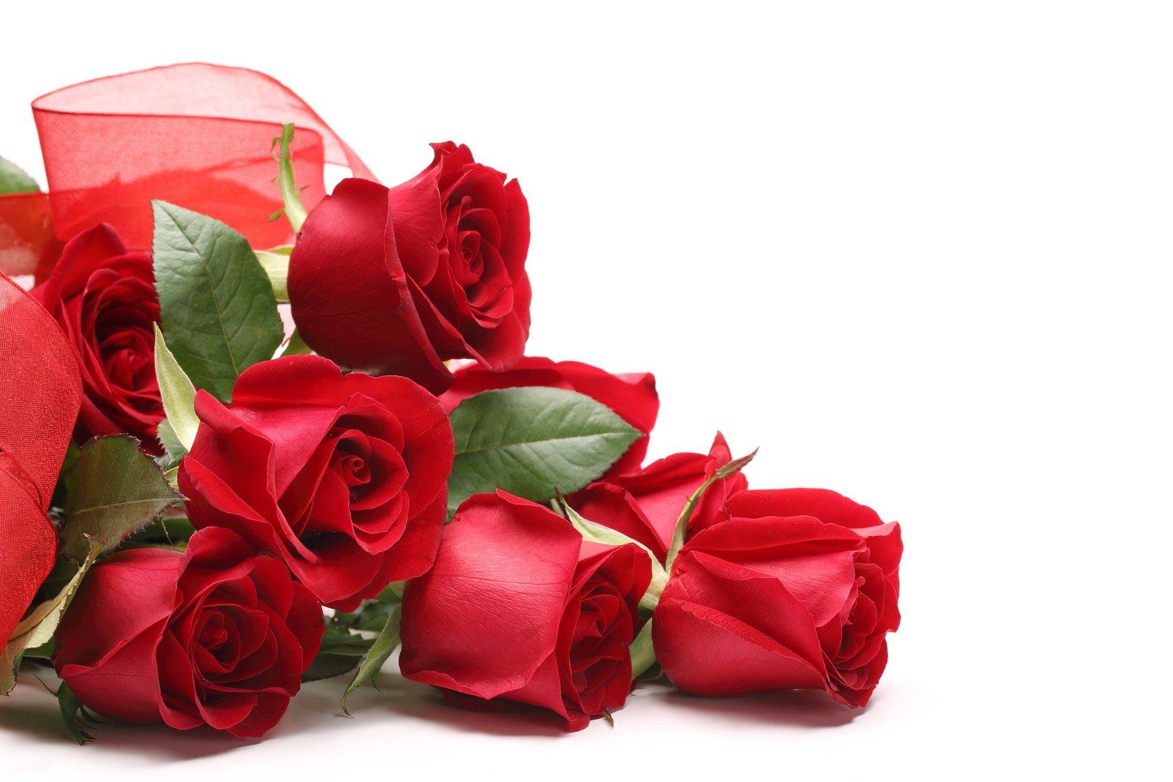 San Valentino, è la rosa il fiore dell'amore: buono anche da mangiare - la  Repubblica