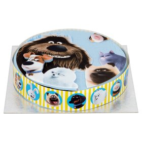6- Torta Pets